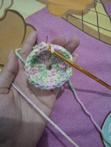 Meera's crochet project
